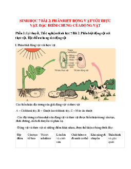 Sinh học 7 Bài 2: Phân biệt động vật với thực vật. Đặc điểm chung của động vật
