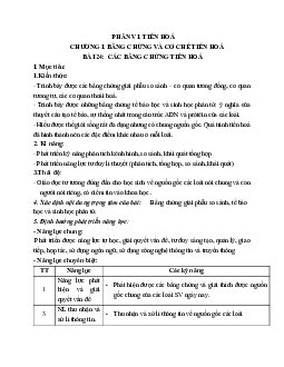 Giáo án Sinh học 12 Bài 24: Các bằng chứng tiến hóa mới nhất