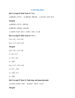 Toán lớp 5 trang 55 Luyện tập chung