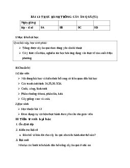 GIÁO ÁN CÔNG NGHỆ 9 BÀI 13: THỰC HÀNH TRỒNG  CÂY ĂN QUẢ (T2) MỚI NHẤT