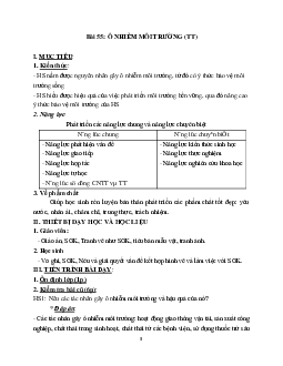 Giáo án Sinh học 9 Bài 55: Ô nhiễm môi trường (tiếp theo) mới nhất - CV5555