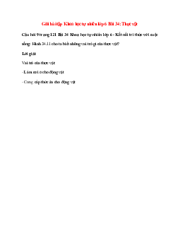 Hình 34.11 cho ta biết những vai trò gì của thực vật