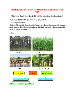 Lý thuyết Sinh học 12 Bài 16 (mới 2023 + 67 câu trắc nghiệm): Cấu trúc di truyền của quần thể