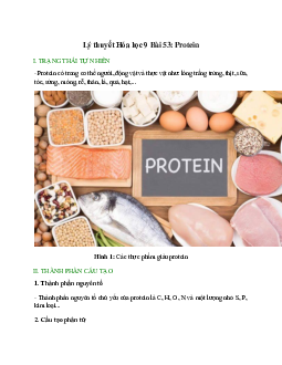 Lý thuyết Protein (mới 2023 + 18 câu trắc nghiệm) hay, chi tiết – Hóa học 9