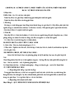 Giáo án Sinh học 12 Bài 34: Sự phát sinh loài người mới nhất - CV5512