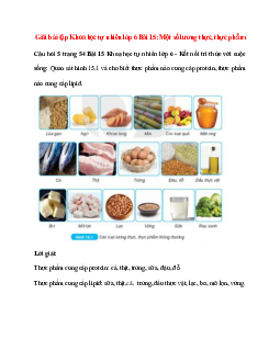 Quan sát hình 15.1 và cho biết thực phẩm nào cung cấp protein, thực phẩm nào cung cấp lipid
