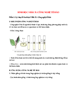 Lý thuyết Sinh học 9 Bài 31 (mới 2023 + 10 câu trắc nghiệm): Công nghệ tế bào