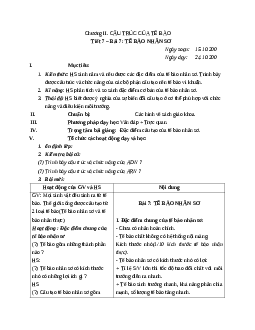 Giáo án Sinh học 10 Bài 7: Tế bào nhân sơ mới nhất – CV5512