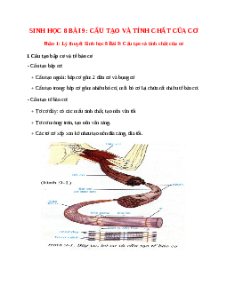 Lý thuyết Sinh học 8 Bài 9 (mới 2023+ 27 câu trắc nghiệm): Cấu tạo và tính chất của cơ