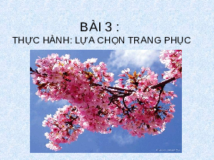 Bài giảng Công nghê 6 tiết 6 : Thực hành Lựa chọn Trang phục