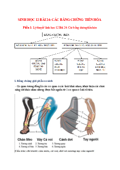 Lý thuyết Sinh học 12 Bài 24 (mới 2023 + 58 câu trắc nghiệm): Các bằng chứng tiến hóa