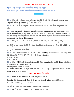 Phiếu bài tập tuần 14 - Toán 7