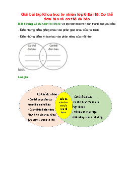 Vẽ lại hình bên và hoàn thành các yêu cầu