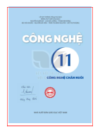 Công nghệ lớp 11 Công nghệ chăn nuôi Kết nối tri thức pdf