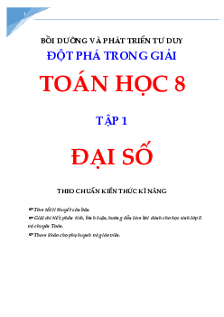Bồi dưỡng phát triển tư dư Toán 8 - phần đại số