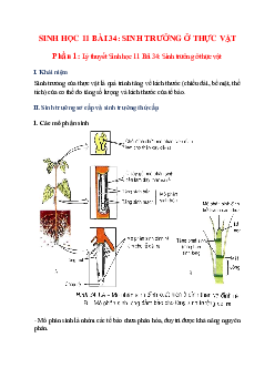 Lý thuyết Sinh học 11 Bài 34 (mới 2023 + 34 câu trắc nghiệm): Sinh trưởng ở thực vật