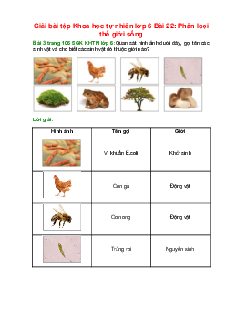 Quan sát hình ảnh dưới đây, gọi tên các sinh vật