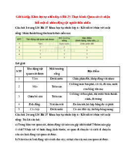 Giải SGK Khoa học tự nhiên 6 Bài 37 (Kết nối tri thức): Thực hành: Quan sát và nhận biết một số nhóm động vật ngoài thiên nhiên