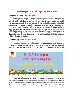 TOP 8 mẫu Tóm tắt Một năm ở Tiểu học 2025 hay, ngắn gọn