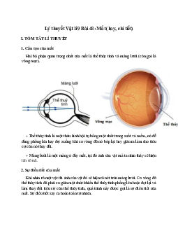 Lý thuyết Mắt (mới 2023 + 17 câu trắc nghiệm) hay, chi tiết – Vật Lí 9