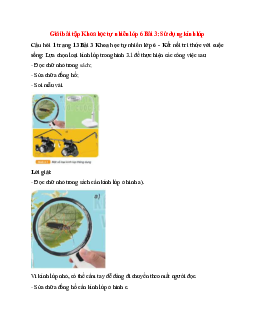 Lựa chọn loại kính lúp trong hình 3.1 để thực hiện các công việc