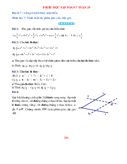 Phiếu bài tập tuần 29 - Toán 7