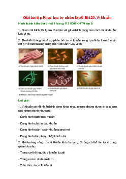 Quan sát hình 25.1, em có nhận xét gì về hình dạng của các loài vi khuẩn. Lấy ví dụ