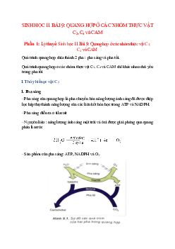 Lý thuyết Sinh học 11 Bài 9 (mới 2023 + 101 câu trắc nghiệm): Quang hợp ở các nhóm thực vật C3, C4 và CAM