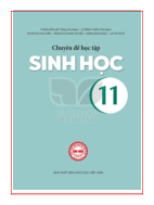 Sinh học lớp 11 Chuyên đề học tập Sinh học Kết nối tri thức pdf