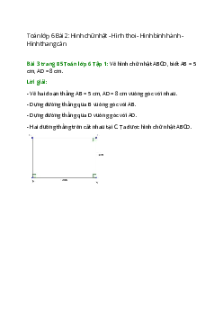 Bài 3 trang 85 Toán 6 Tập 1 | Chân trời sáng tạo Giải toán lớp 6