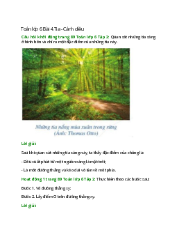 Giải SGK Toán lớp 6 Bài 4 (Cánh diều): Tia