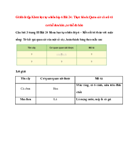 Từ kết quả quan sát của một số cây, hoàn thành bảng theo mẫu sau