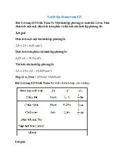 Toán lớp 5 trang 123 Luyện tập chung