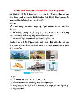 Giải SGK Khoa học tự nhiên 6 Bài 9 (Kết nối tri thức): Sự đa dạng của chất