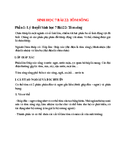 Sinh học 7 Bài 22 (Lý thuyết và trắc nghiệm): Tôm sông