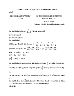 Tuyển tập đề thi học sinh giỏi Toán 6 - có đáp án