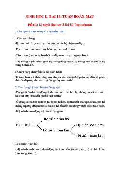 Lý thuyết Sinh học 11 Bài 18 (mới 2023 + 47 câu trắc nghiệm): Tuần hoàn máu