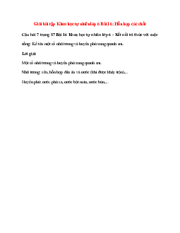 Kể tên một số nhũ tương và huyền phù xung quanh em