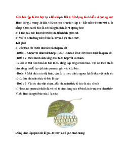 Quan sát tế bào lá cây bằng kính hiển vi quang học