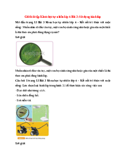 Giải SGK Khoa học tự nhiên 6 Bài 3 (Kết nối tri thức): Sử dụng kính lúp