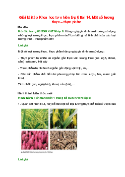 Giải SGK Khoa học tự nhiên lớp 6 Bài 14 (Chân trời sáng tạo): Một số lương thực – thực phẩm