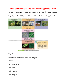 Quan sát hình 25.4 và cho biết sinh vật được chia thành những giới nào