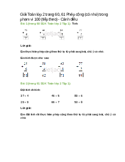 Giải SGK Toán lớp 2 Tập 1 trang 60, 61 Phép cộng (có nhớ) trong phạm vi 100 (tiếp theo)  – Cánh diều