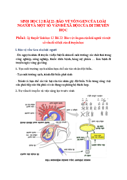 Lý thuyết Sinh học 12 Bài 22 (mới 2023 + 28 câu trắc nghiệm): Bảo vệ vốn gen của loài người và một số vấn đề xã hội của di truyền học