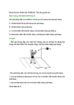 Khi quả bóng đập vào một bức tường, lực do tường tác dụng lên bóng