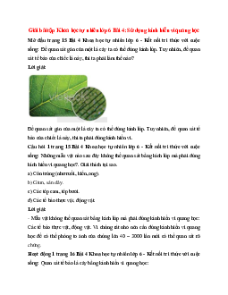 Giải SGK Khoa học tự nhiên 6 Bài 4 (Kết nối tri thức): Sử dụng kính hiển vi quang học