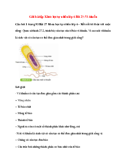 Quan sát hình 27.2, trình bày cấu tạo của tế bào vi khuẩn. Vì sao nói vi khuẩn