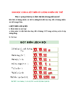 Lý thuyết Sinh học 12 Bài 6 (mới 2023 + 200 câu trắc nghiệm): Đột biến số lượng nhiễm sắc thể