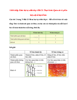 Dựa vào hình ảnh quan sát được, em hãy nêu các thành phần của mỗi loại tế bào