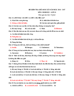 Bộ 40 Câu trắc nghiệm ôn thi Giữa học kì 1 Sinh học lớp 10
